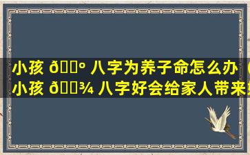 小孩 🌺 八字为养子命怎么办（小孩 🌾 八字好会给家人带来好运）
